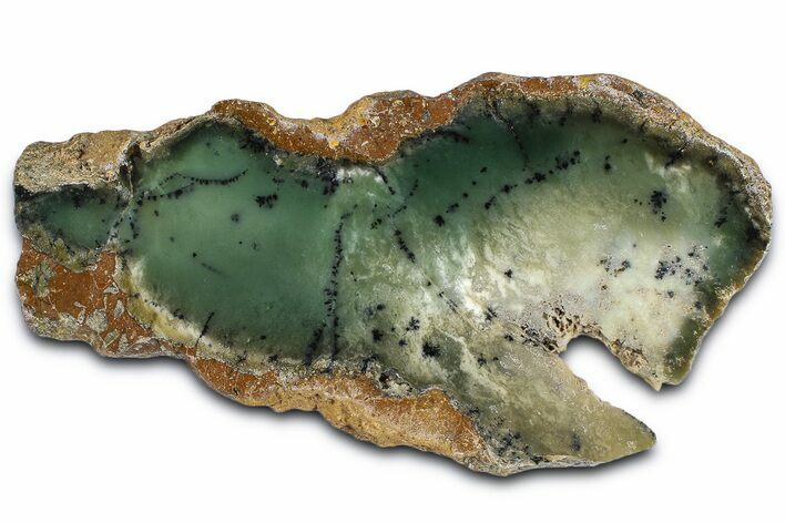 Polished Dendritic Chrysoprase Slab - Western Australia #364235